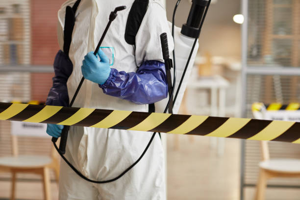 Professional Sewage Cleanup technician working in Maryville, MO